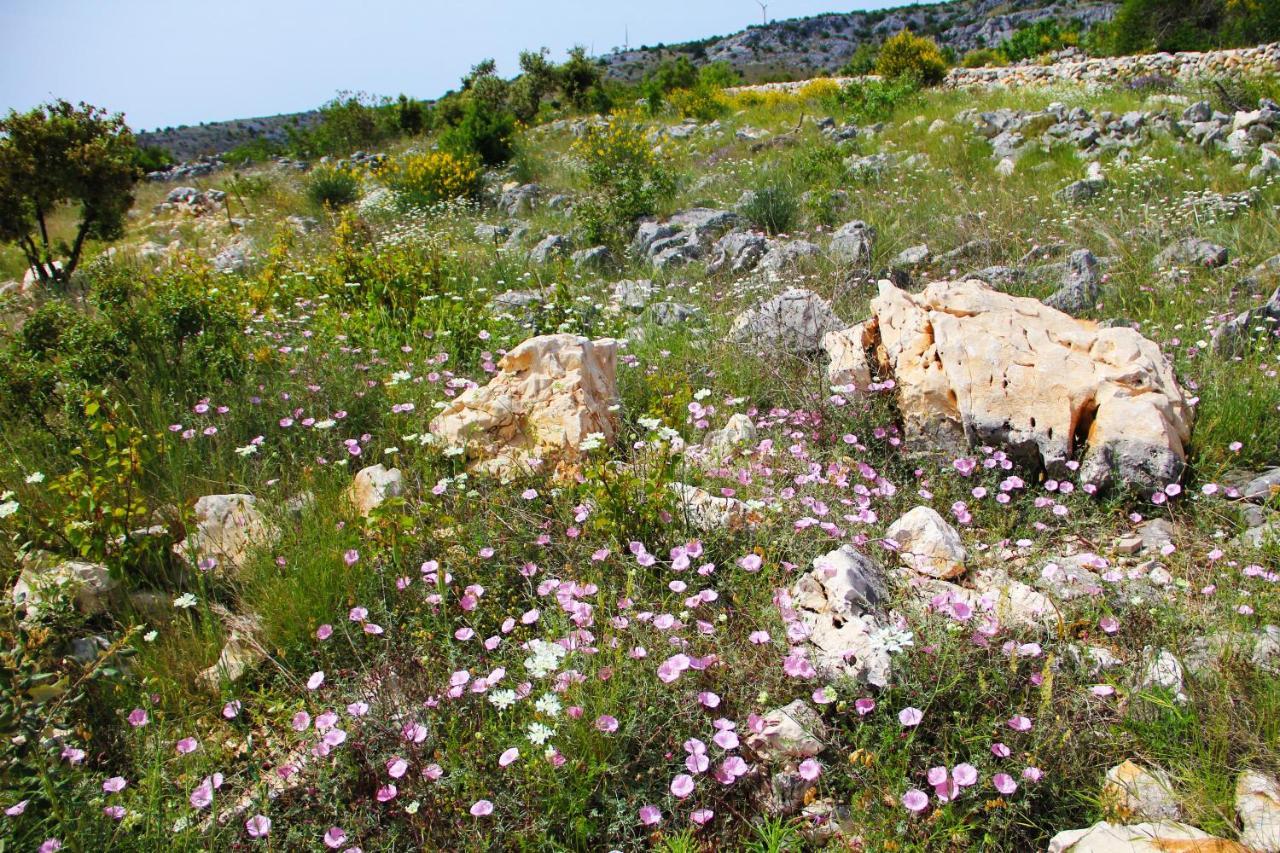 Zlatno Sunce In The Hills Near Trogir Villa Vrsine