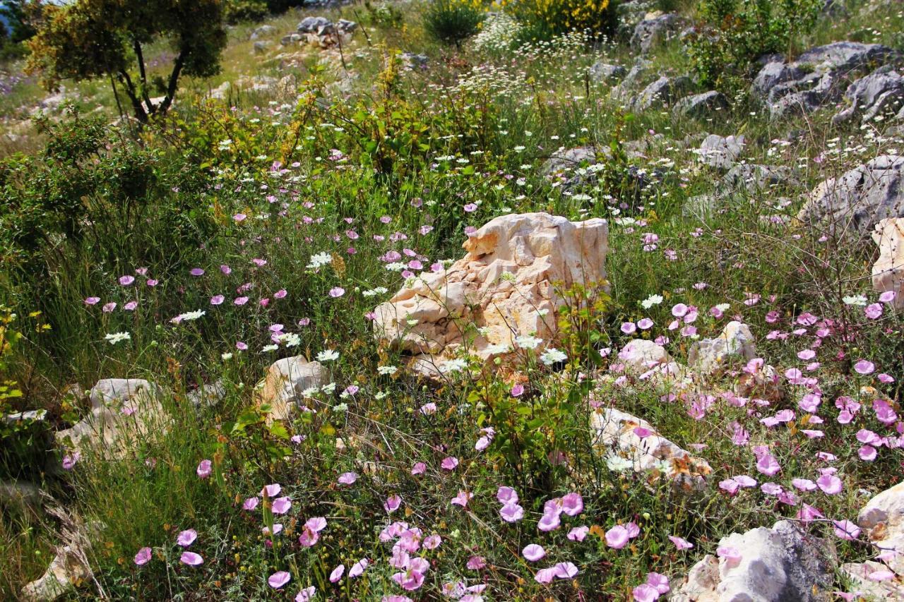 Zlatno Sunce In The Hills Near Trogir Villa Vrsine