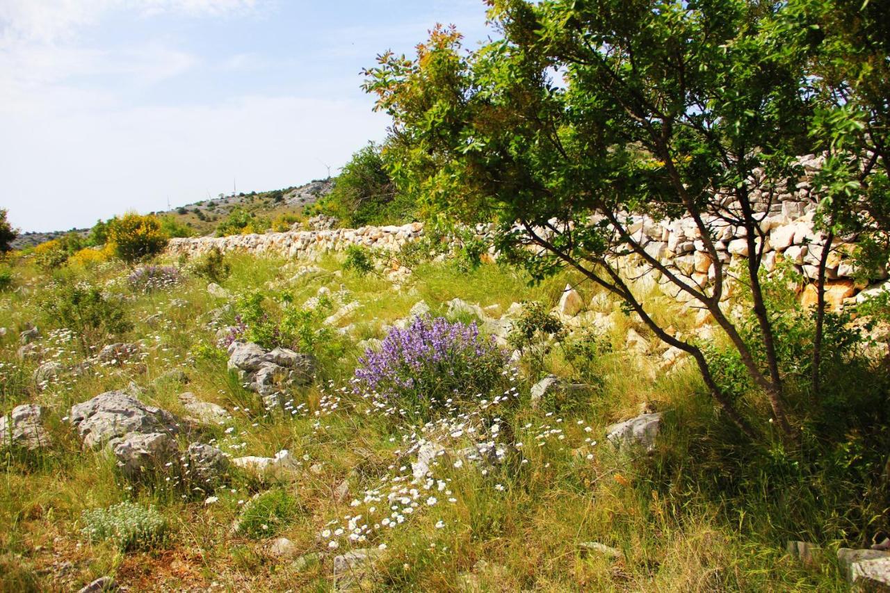 Zlatno Sunce In The Hills Near Trogir *